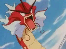serebii gyarados|gyarados shiny.